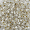 silver lined frosted crystal seed beads #6