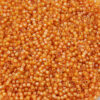 Toho treasure seed beads #1 Inside colour Jonquil burnt orange