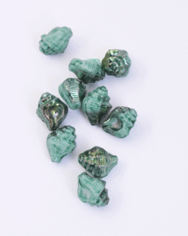 Murex shell glass beads green