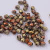 Fire polished glass beads 4mm bronze copper gold