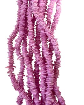 Square cut shell Purple