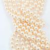 Swarovski pearl creamrose 8mm