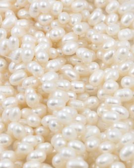 Freshwater pearls white