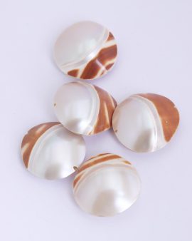 mother of pearl and shell beads