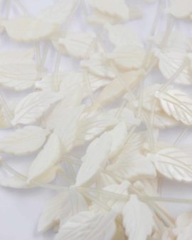 Mother of pearl leaf white