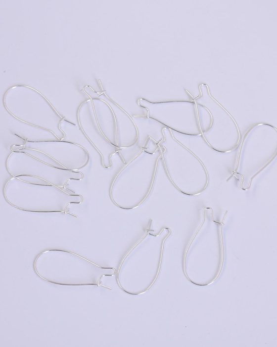 Hooped ear wires Silver