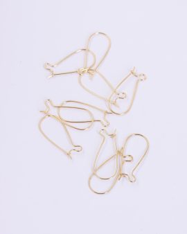 Hooped ear wires Gold